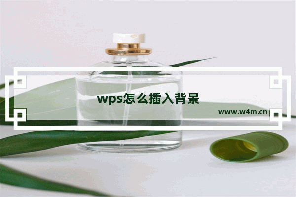 wps怎么插入背景