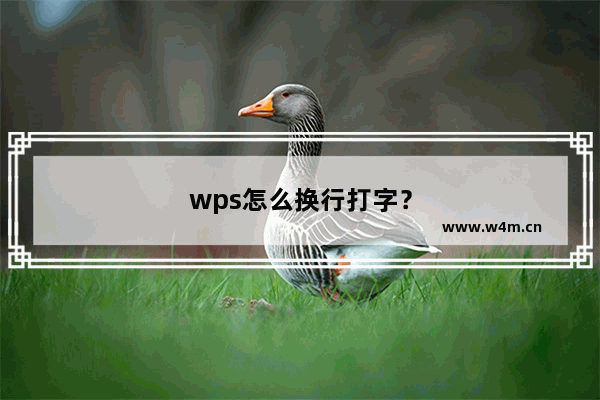 wps怎么换行打字？