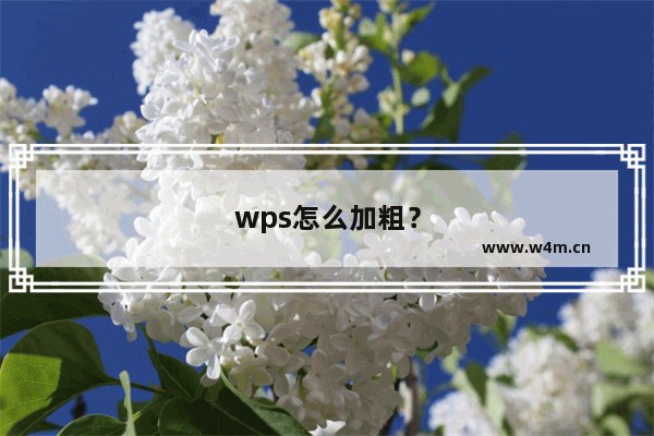 wps怎么加粗？