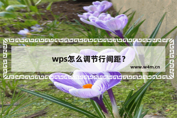 wps怎么调节行间距？