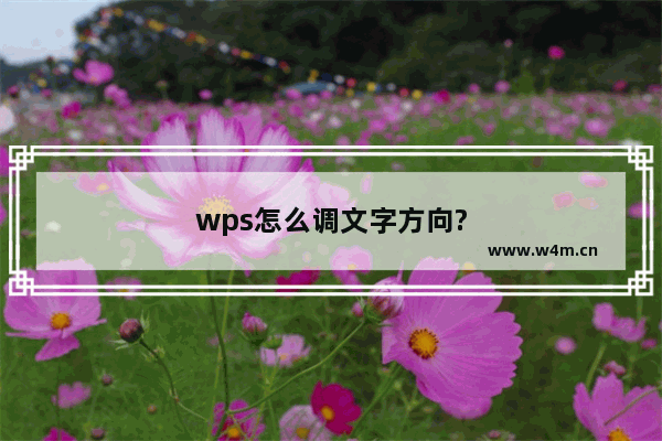 wps怎么调文字方向?