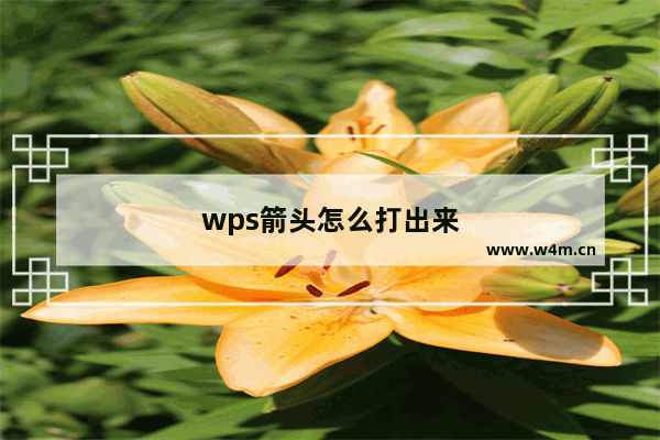 wps箭头怎么打出来