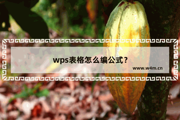 wps表格怎么编公式？