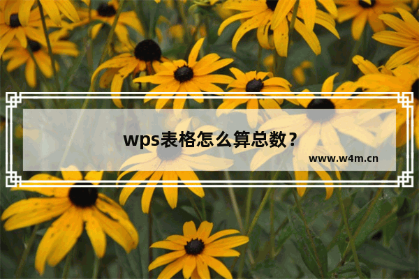 wps表格怎么算总数？