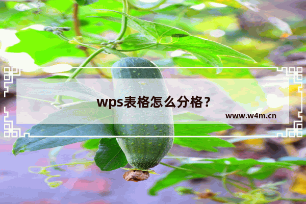 wps表格怎么分格？