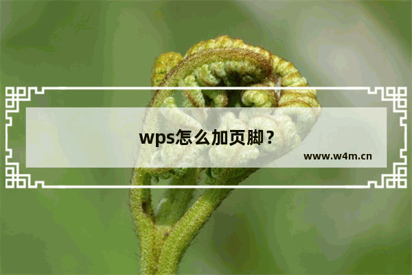 wps怎么加页脚？