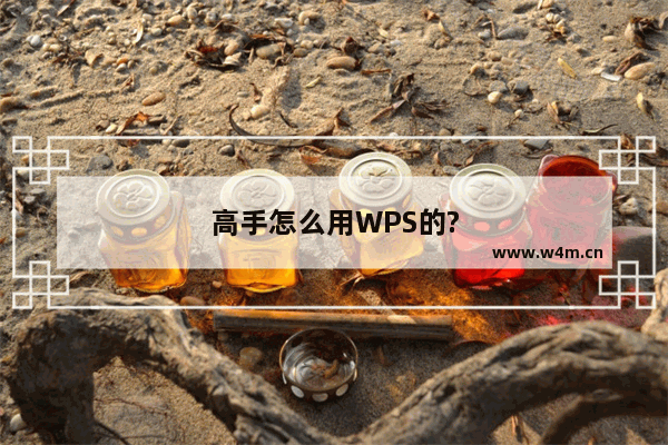 高手怎么用WPS的?