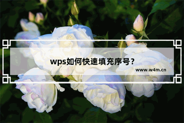 wps如何快速填充序号？