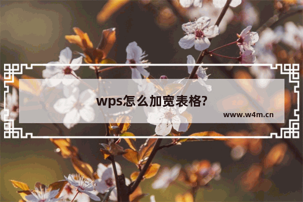 wps怎么加宽表格?