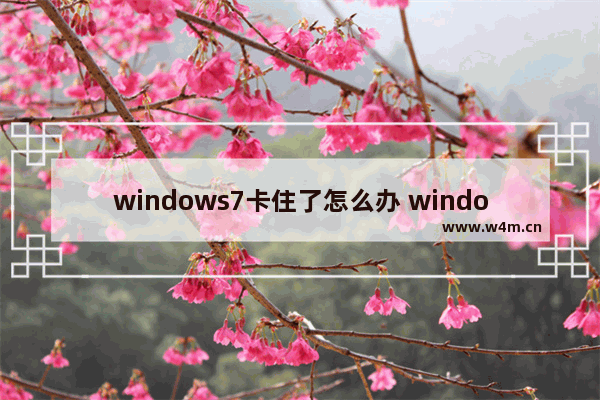 windows7卡住了怎么办 windows7卡机怎么办