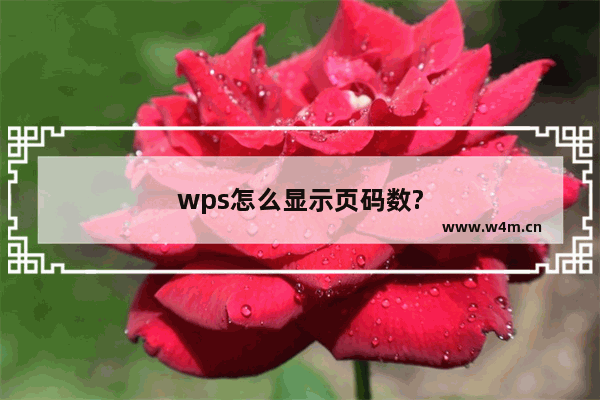 wps怎么显示页码数?