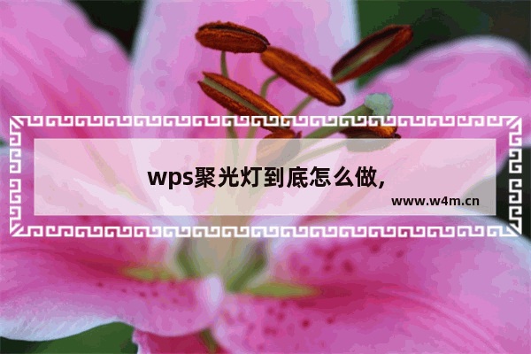 wps聚光灯到底怎么做,