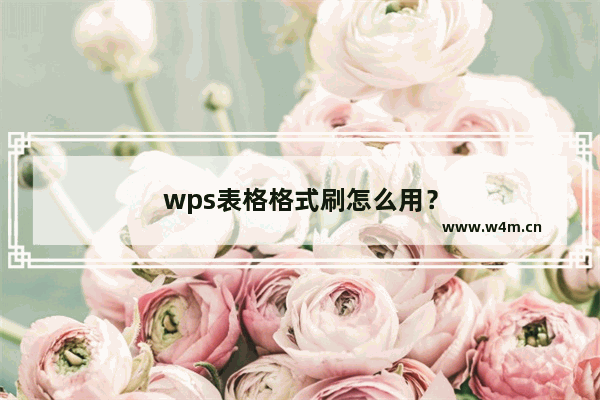 wps表格格式刷怎么用？