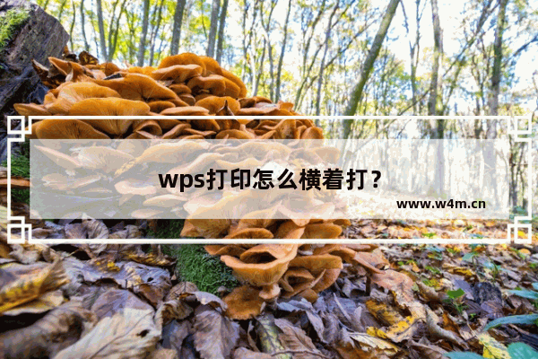 wps打印怎么横着打？