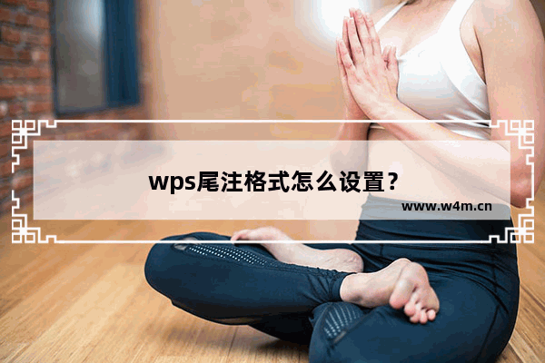 wps尾注格式怎么设置？