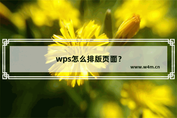 wps怎么排版页面？