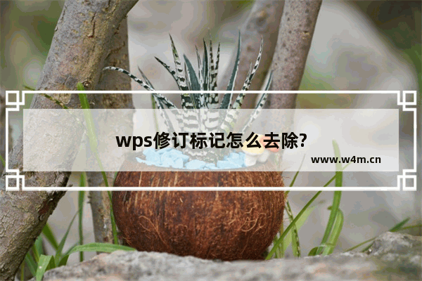 wps修订标记怎么去除?