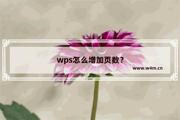 wps怎么增加页数？