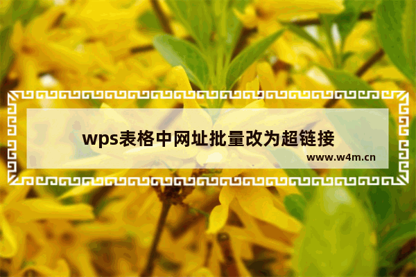 wps表格中网址批量改为超链接