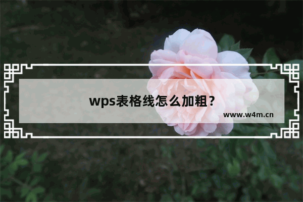 wps表格线怎么加粗？