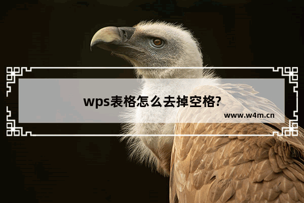 wps表格怎么去掉空格?