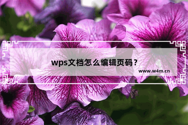 wps文档怎么编辑页码？