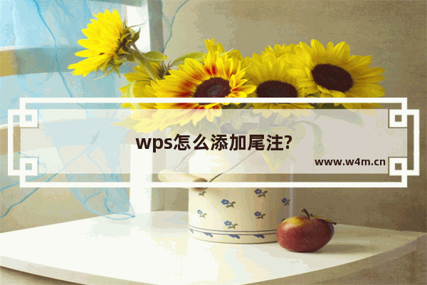 wps怎么添加尾注?