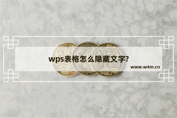 wps表格怎么隐藏文字?