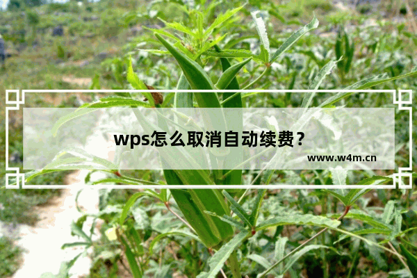 wps怎么取消自动续费？