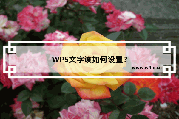 WPS文字该如何设置？