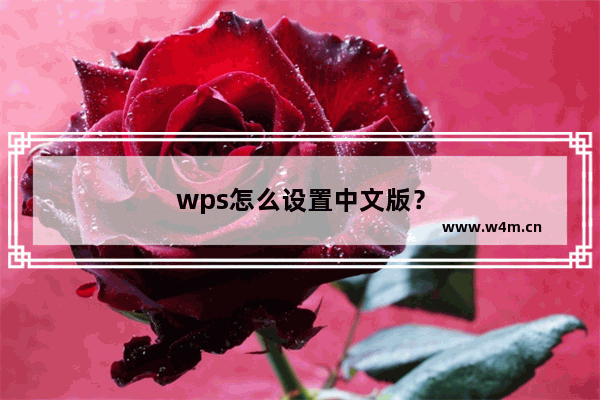 wps怎么设置中文版？