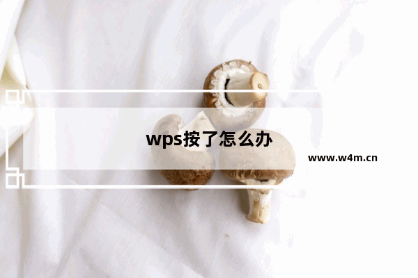 wps按了怎么办