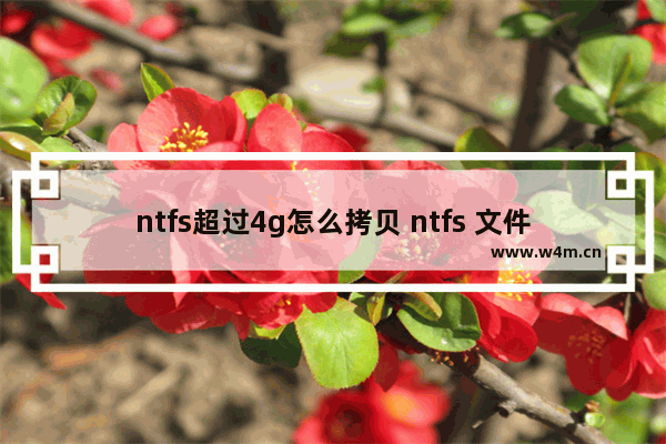 ntfs超过4g怎么拷贝 ntfs 文件数量限制