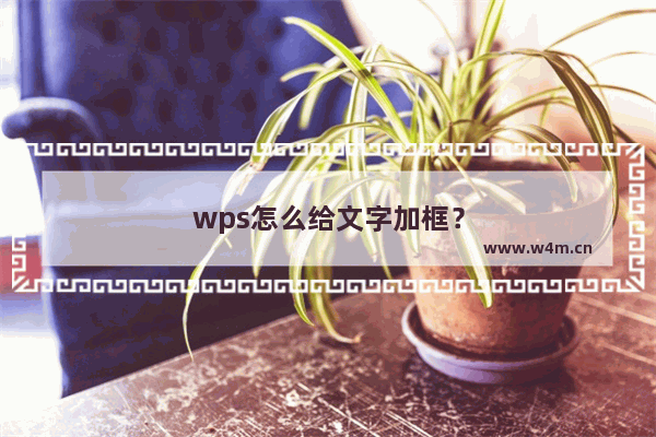 wps怎么给文字加框？