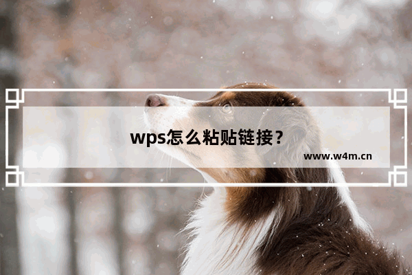 wps怎么粘贴链接？