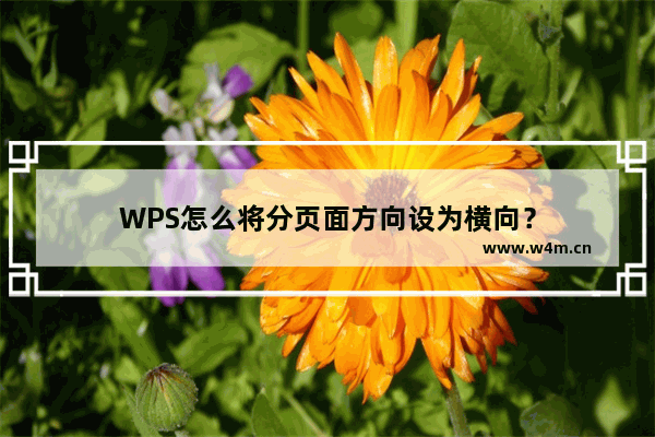 WPS怎么将分页面方向设为横向？