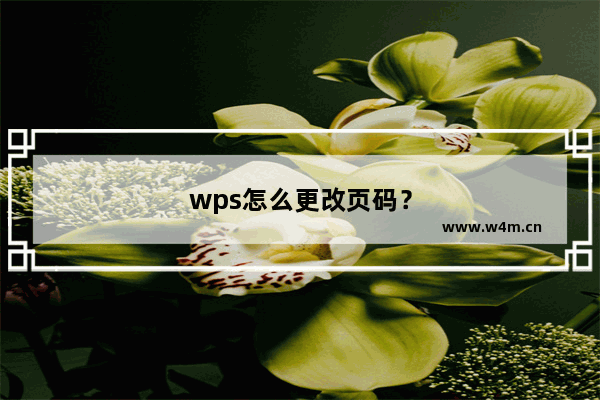 wps怎么更改页码？