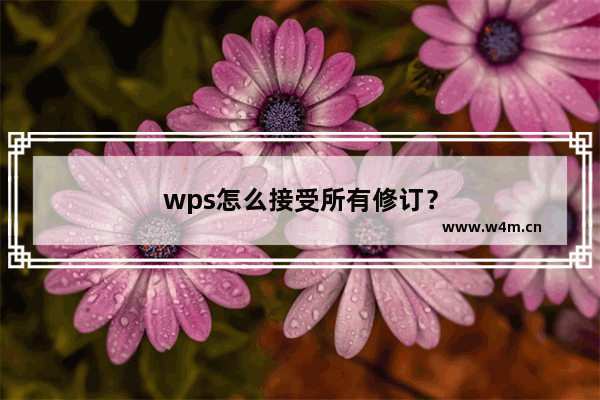 wps怎么接受所有修订？