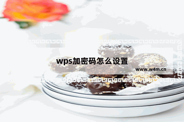 wps加密码怎么设置