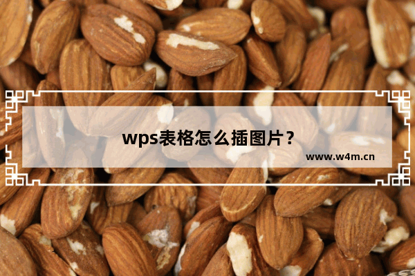 wps表格怎么插图片？