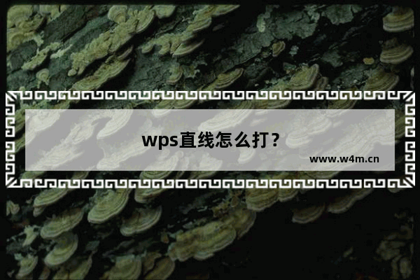 wps直线怎么打？