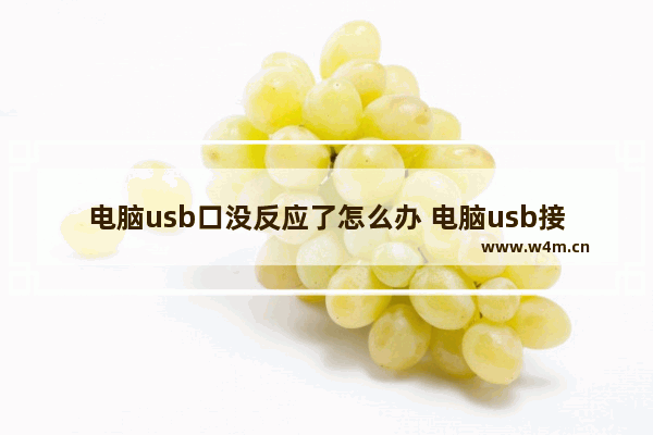 电脑usb口没反应了怎么办 电脑usb接口没反应是什么原因