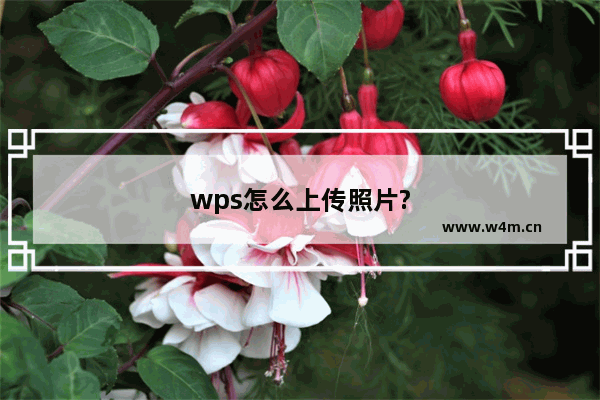 wps怎么上传照片?