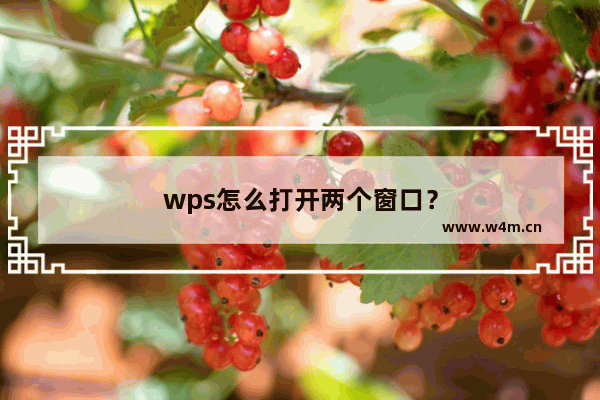 wps怎么打开两个窗口？