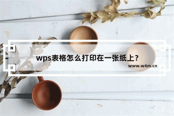 wps表格怎么打印在一张纸上？