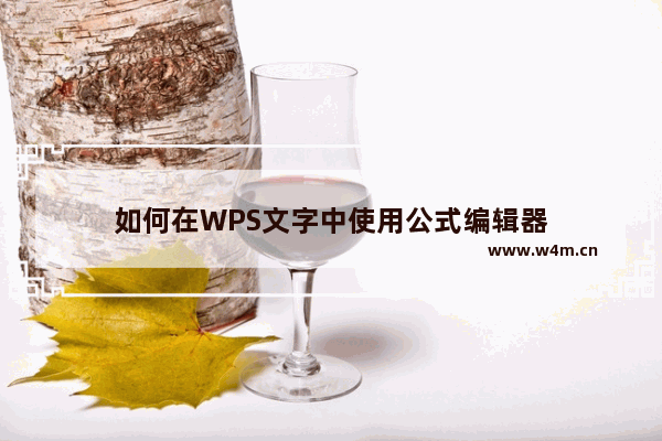 如何在WPS文字中使用公式编辑器