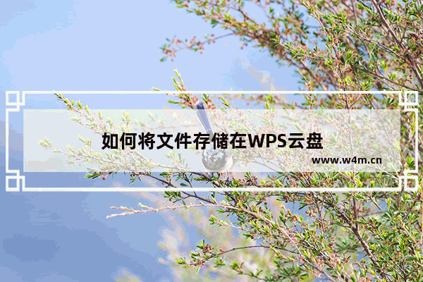 如何将文件存储在WPS云盘