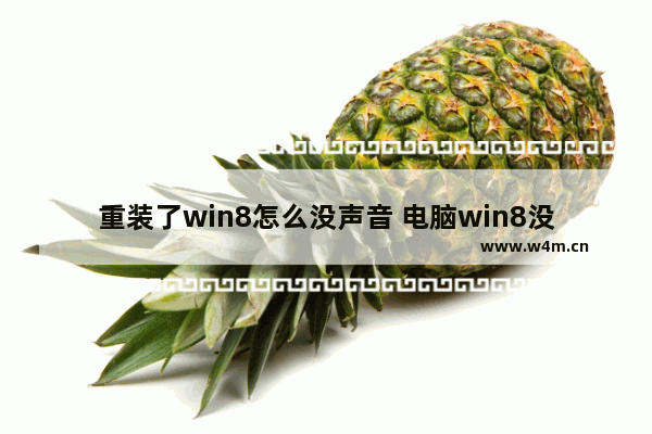 重装了win8怎么没声音 电脑win8没有声音了怎么恢复