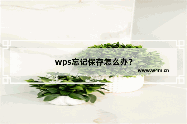 wps忘记保存怎么办？