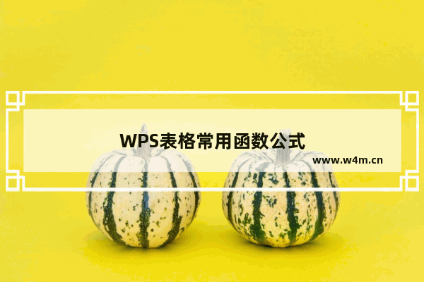 WPS表格常用函数公式